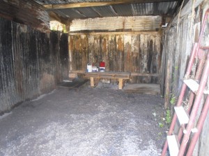 SAM_0551  